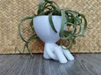 Горшок эко - человечек, фотография 3