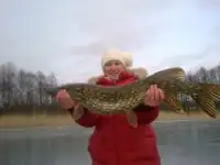Сдам дом для рыбаков на Браславских озерах, фотография 6