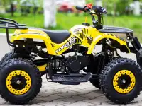 Квадроцикл Torino 49cc, фотография 3