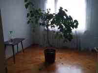 Продажа квартиры, ул.Тексер 5, фотография 3