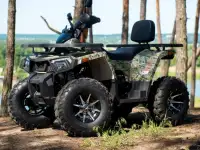 Квадроцикл взрослый MMG Shark 200cc, фотография 2