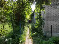 Продаю дом с участком, д.Тычинки ул. Центральная д.11, фотография 4