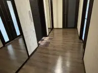 Двухкомнатная квартира, Фатима, 4Е, фотография 6