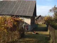 Продаётся дом.д.Конно, фотография 4
