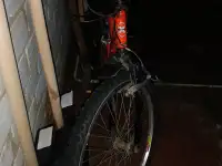 Велосипед 24 Boxter eco 2 super bicke original горный, фотография 5