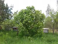 Продам дом, фотография 3