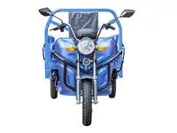 Грузовой электротрицикл rutrike круиз 60v/1000w, фотография 5
