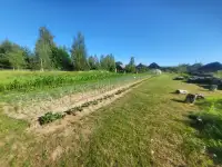 Дом в деревне Заручье, фотография 9