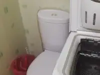 Хорошая дача с баней и беседкой в живописном месте, фотография 2