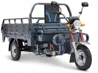 Грузовой электротрицикл rutrike титан 2000 гидравлика 60v1500w, фотография 9