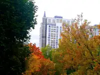 2-х комнатная квартира на длительный срок., фотография 11
