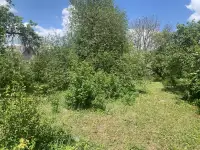участок 15 соток с домом недалеко от Бреста, д. Филипповичи, Жабинковский р-н, Ленинский с/с, фотография 5