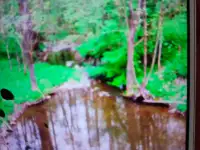 Продам дом, Минска область, Копыльский район, деревня Каменка., фотография 9
