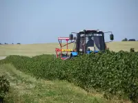 Действующее сельхозпредприятие, фотография 6