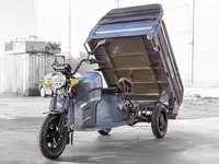 Грузовой электротрицикл rutrike мастер 1500 60v1000w, фотография 7