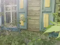Продажа дома д. Дуяновка ул. Советская  д 94, фотография 6