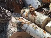 дрова чурки и колотые сухие, фотография 5
