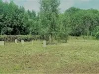 Земельный участок . д. Лещины, переулок 4-ый Зеленый, д.3. Борисовский р-он., фотография 6