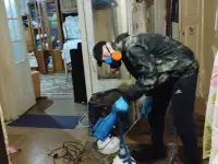 Уничтожение насекомых и грызунов по всей Беларуси (тараканы, клопы, клещи, грызуны), фотография 3