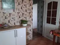 Продается квартира в 2 квартирном катедже, Михайловка, р-н до парич 8 км,светлогорск 33км,бобруйск 40 км, фотография 3