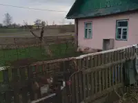 Дом, фотография 3