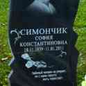 Памятники, фотография 2