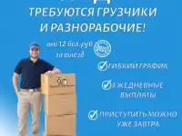 Грузчики. Подсобные рабочие. Переезды. Подъем на этаж., фотография 7