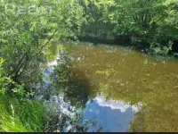 Дом, Деревня Головли, гроднен. Область, дятловский р-н, фотография 5