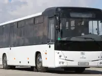 Аренда автобуса Жлобин