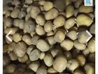 Продам сменной картофель.