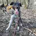 Красавишна обаяшка Мира, фотография 4