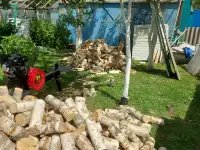 Распил брёвен ,покол дров, фотография 3