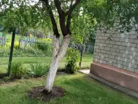 Продажа, СТ 