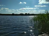 Продаётся участок с домом, Деревня Ёди 6