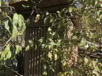 Продам дачный участок в 7 км от Ольшанки Гродно, фотография 5