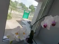 Продаётся кирпичный дом, Могилёвская область. Кличевский район, фотография 3