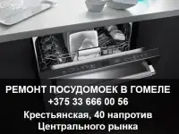 Ремонт посудомоек в Гомеле