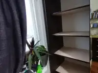 Шкаф купе с зеркалом, фотография 2