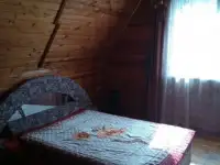 Дом у озера, Заречная ул, 6А, деревня Туржец-1, Гомельский сельсовет, район, Витебск, фотография 6