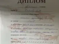 Щенки Курцхаара, фотография 10