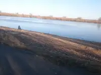 дом рядом с р.Днепр, фотография 5