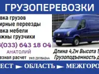 Грузоперевозки Брест собственник, фотография 6