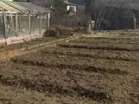 Дача в СТ Дубок, фотография 4