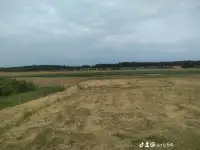 Участок в живописном месте Столбцовский район Брестское направление, фотография 5