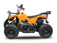 Квадроцикл nitro torino 4-тактный 6