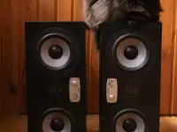 Студийные мониторы EVE Audio SC307 пара