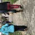 Дрессировка собак в Барановичах, фотография 2