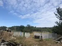 Продам дом в д. Деражня, фотография 4