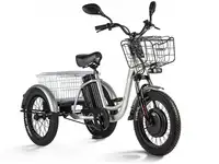Трицикл eltreco porter fat 700