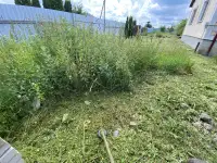 Покос травы